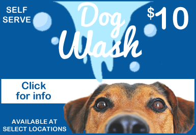 dog-wash2.fw.png